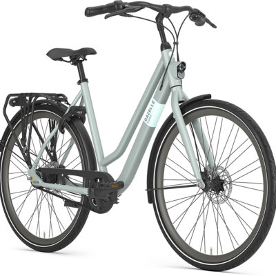 Gazelle G4620 20160743 Esprit Belt Low Step 2.jpg