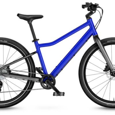 WOOM Explore 5 24 Zoll Diamant.jpg